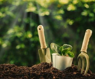Gardening
